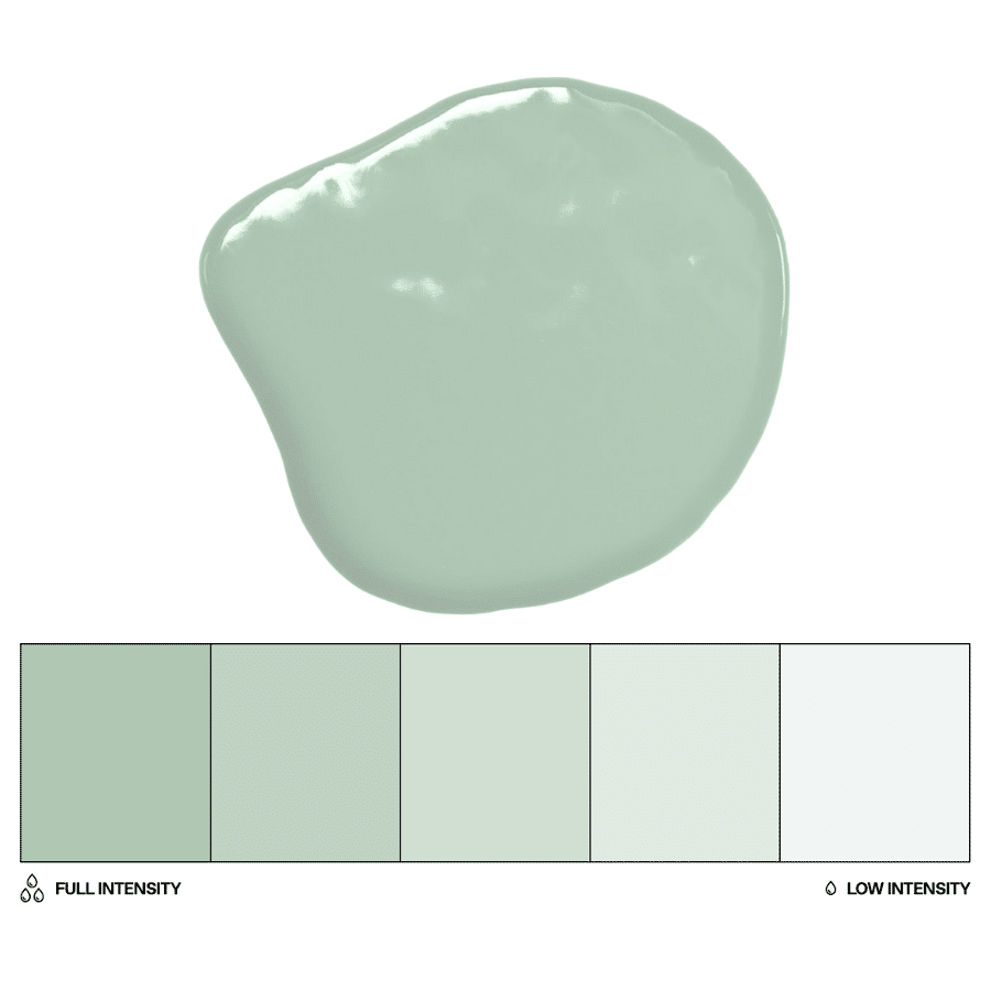 COLORANTE LIPOSOLUBLE COLOUR MILL. - VERDE SALVIA / SAGE (20 ML) 3 COLORANTE LIPOSOLUBLE COLOUR MILL. - VERDE SALVIA / SAGE (20 ML) - Imagen 3
