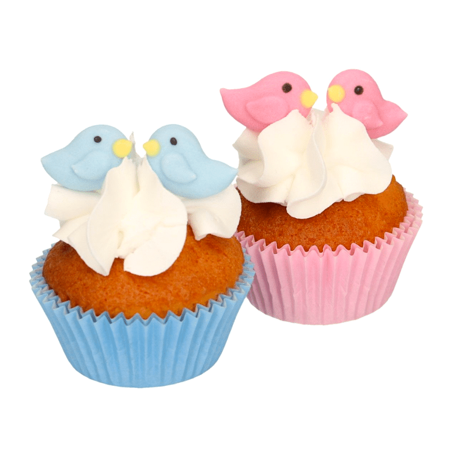 DECORACIONES DE AZUCAR FUNCAKES - PAJAROS ROSAS Y AZULES 2 DECORACIONES DE AZUCAR FUNCAKES - PAJAROS ROSAS Y AZULES - Imagen 2