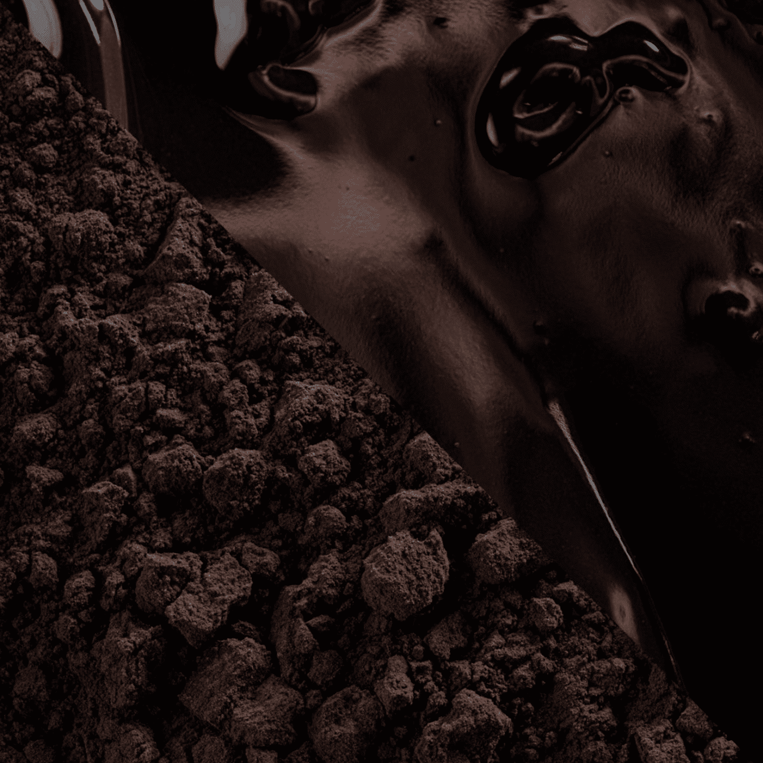 CACAO EN POLVO (100 %) CACAO BARRY - "NOIR INTENSE" 1 KG 4 CACAO EN POLVO (100 %) CACAO BARRY - "NOIR INTENSE" 1 KG - Imagen 4
