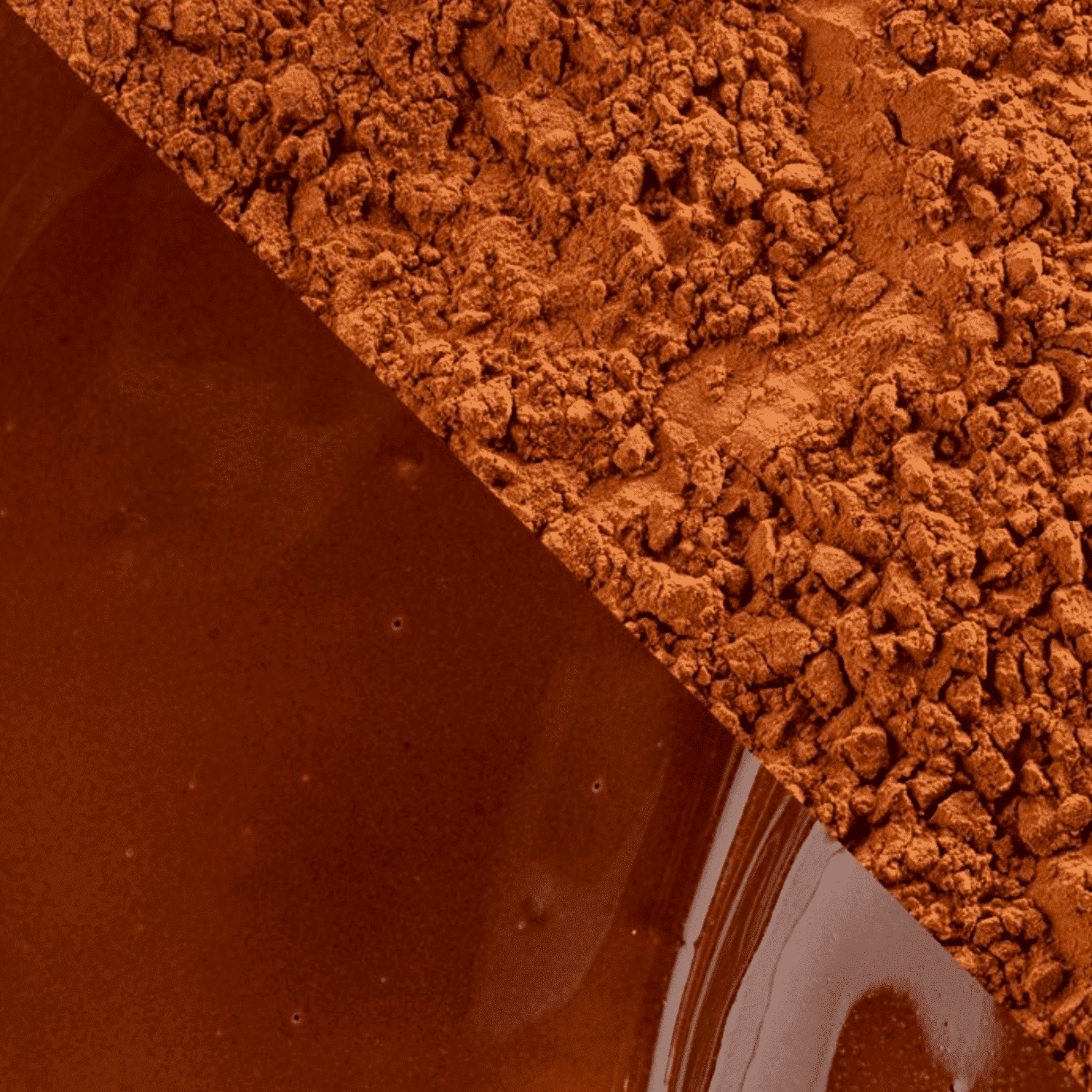 CACAO EN POLVO (100 %) CACAO BARRY - "PLEIN AROME" 1 KG 3 CACAO EN POLVO (100 %) CACAO BARRY - "PLEIN AROME" 1 KG - Imagen 3