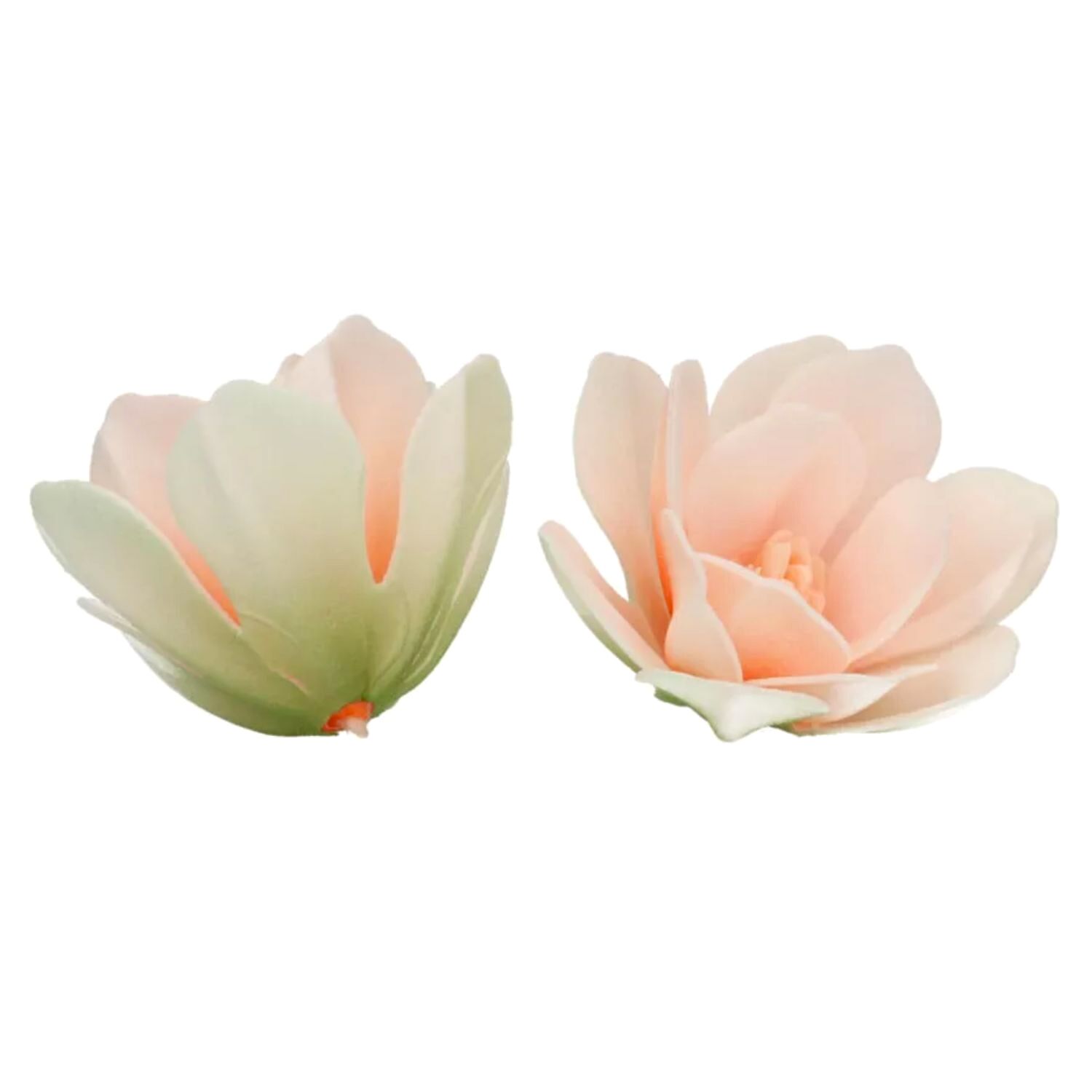 FLORES DE PAPEL COMESTIBLE FUNCAKES - MAGNOLIA BLANCA GRANDE 3 FLORES DE PAPEL COMESTIBLE FUNCAKES - MAGNOLIA BLANCA GRANDE - Imagen 3